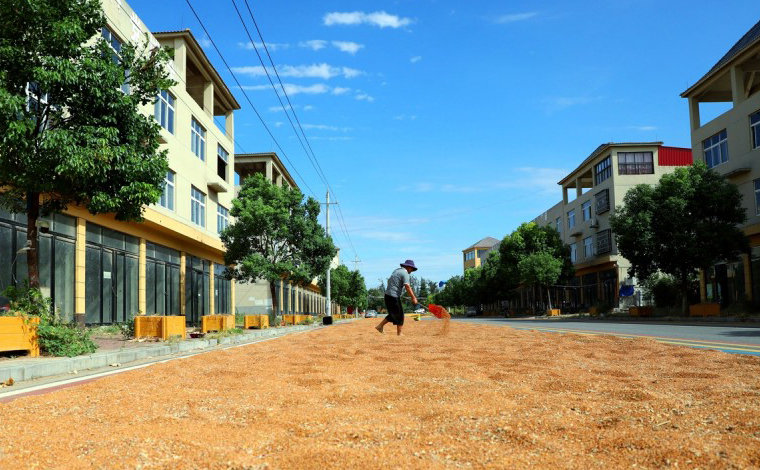 未標題-2.jpg